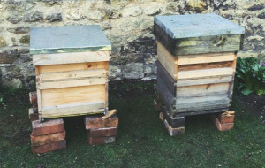 The bee hives at Univ