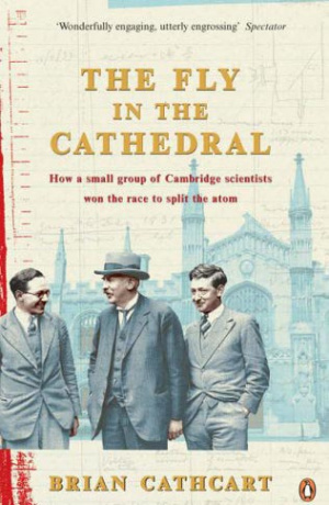 Button link to book review of The Fly in the Cathedral