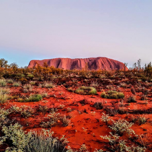 24 - The Red Centre - Photo Comp