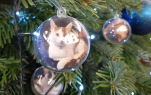 Lyra bauble on Christmas tree