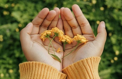 Hands cupping small flowers