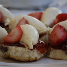 1249 Society Garden Party 2025