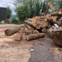 Pergola in place at Univ North