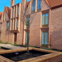 Pergola in place at Univ North - Katsura Tree
