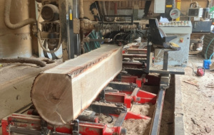 Pergola in place at Univ North