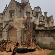 974fa674-b053-4496-a8db-2b89a614a729 974fa674-b053-4496-a8db-2b89a614a729