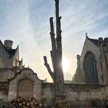 IMG_9625 SMALL IMG_9625 SMALL