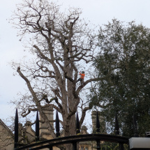 PXL_20260106_112501923.MP PXL_20260106_112501923.MP