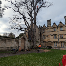 PXL_20260106_112609206 PXL_20260106_112609206