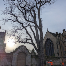 PXL_20260106_124037940 PXL_20260106_124037940