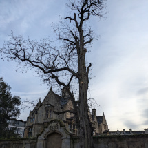 PXL_20260106_131445876 PXL_20260106_131445876