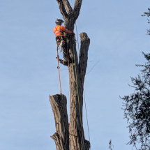 PXL_20260107_124339989 PXL_20260107_124339989