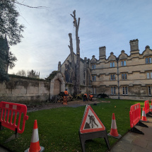 PXL_20260107_124411398 PXL_20260107_124411398