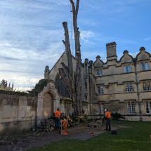 PXL_20260107_131912047 PXL_20260107_131912047