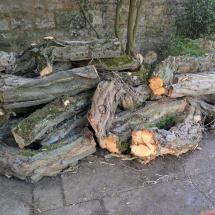 PXL_20260107_131926522 PXL_20260107_131926522