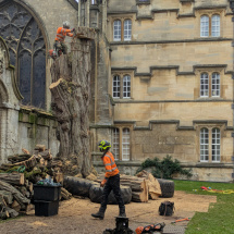 PXL_20260108_123741419 PXL_20260108_123741419