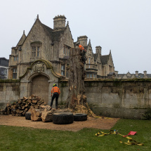 PXL_20260108_124002946 PXL_20260108_124002946