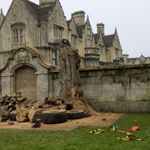 PXL_20260108_131243030.MP PXL_20260108_131243030.MP