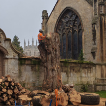 fb484847-b18d-4e71-b737-8f0c3c3eb7c9 - Copy fb484847-b18d-4e71-b737-8f0c3c3eb7c9 - Copy