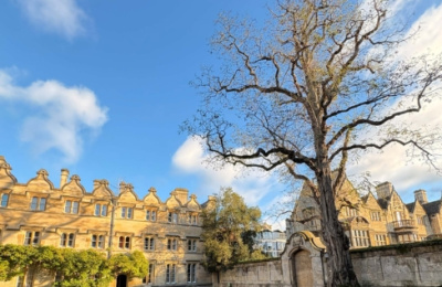Univ bids farewell to its Robinia tree