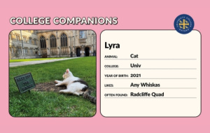 College cat in Bodleian Exhibition