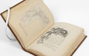 College cat in Bodleian Exhibition