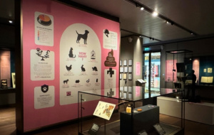 College cat in Bodleian Exhibition